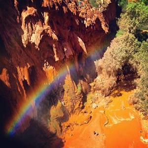 Meet your Posher, Allen